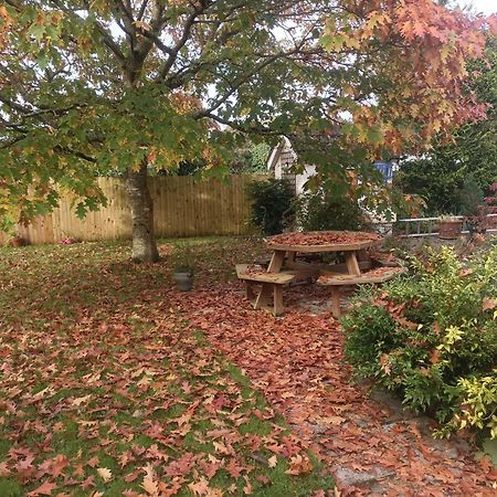 كيلكيني Twin Oaks Bed & Breakfast المظهر الخارجي الصورة