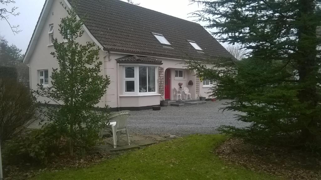 كيلكيني Twin Oaks Bed & Breakfast المظهر الخارجي الصورة