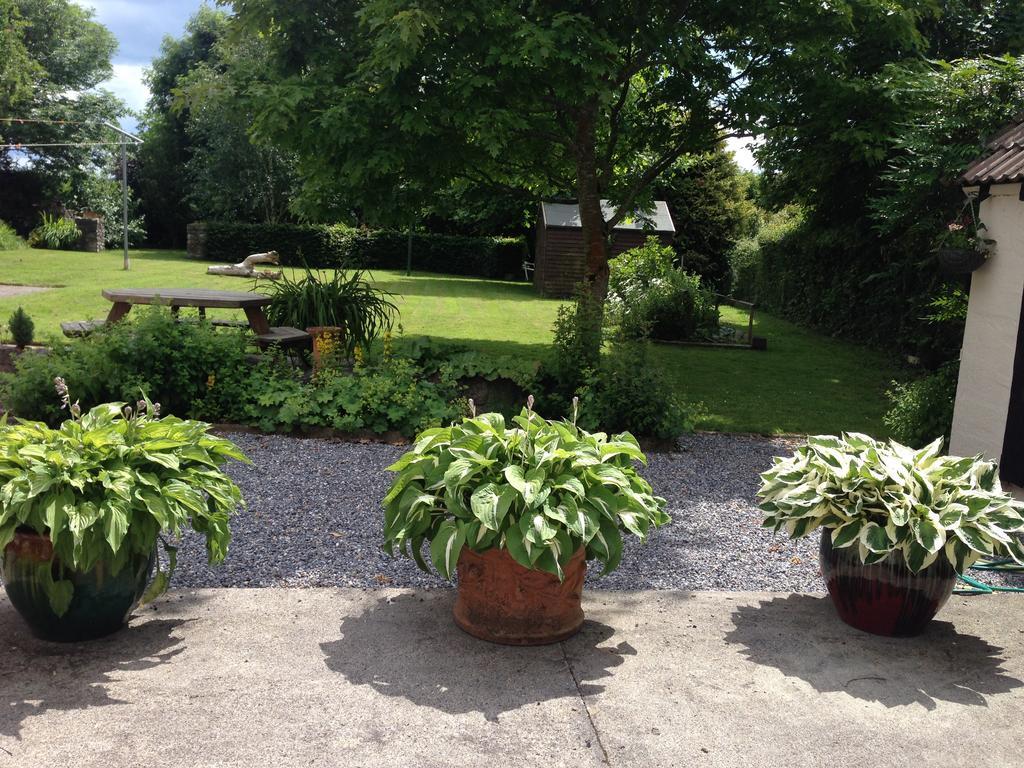 كيلكيني Twin Oaks Bed & Breakfast المظهر الخارجي الصورة