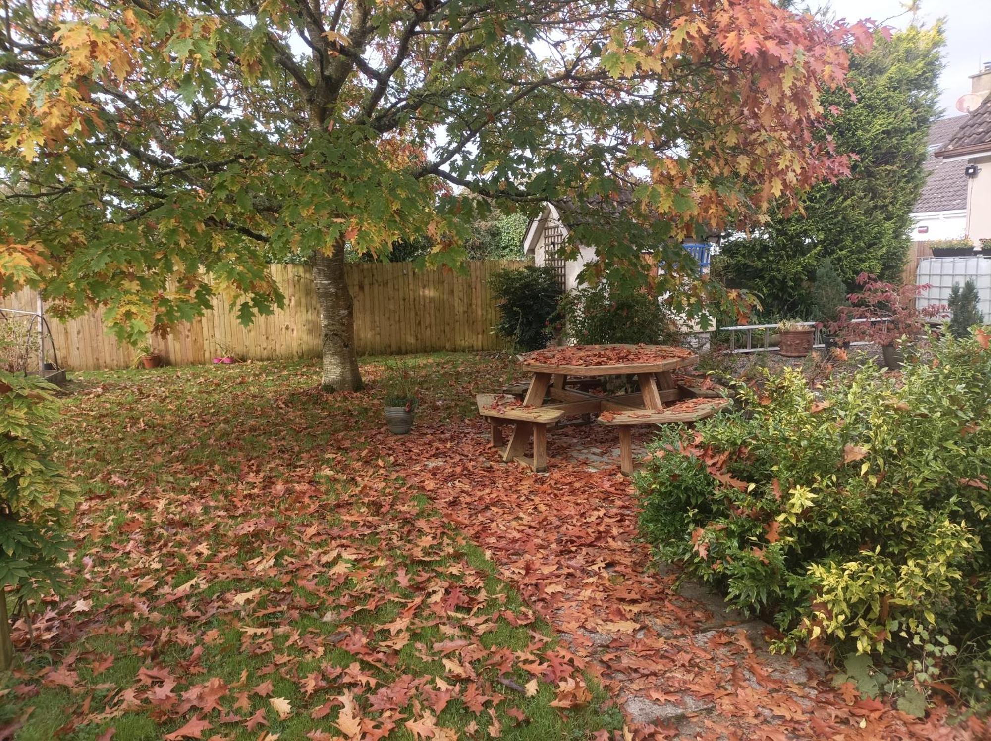كيلكيني Twin Oaks Bed & Breakfast المظهر الخارجي الصورة