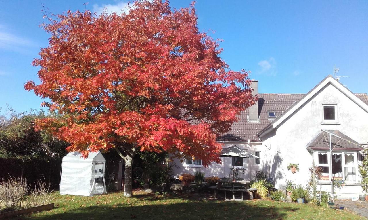 كيلكيني Twin Oaks Bed & Breakfast المظهر الخارجي الصورة