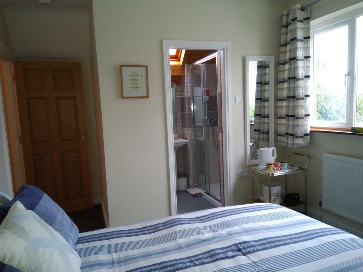 كيلكيني Twin Oaks Bed & Breakfast المظهر الخارجي الصورة